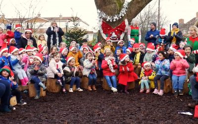 Acorns, Willow and Beech Christmas Performances 2020