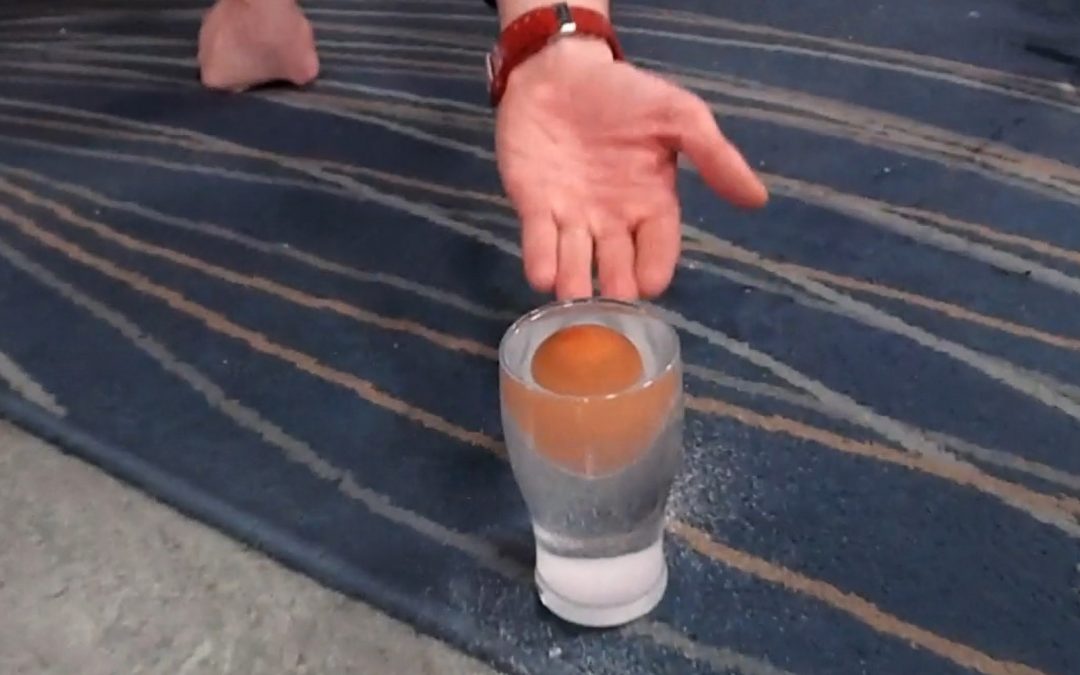 Video: Eggs and Oranges Floating Experiment