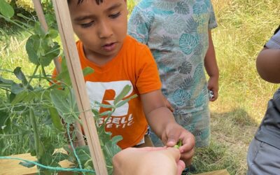 Acorns Room Celebrates Successful Vegetable Harvest