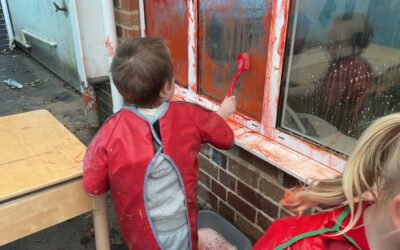 Acorns Room Paints and Washes Windows