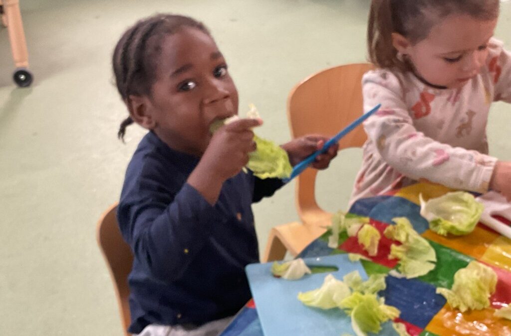 Why We Love Snack Time in Acorns