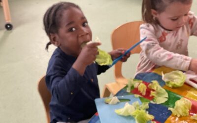 Why We Love Snack Time in Acorns
