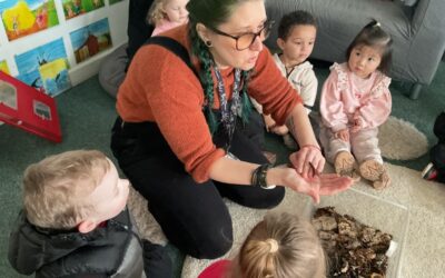 Meet the Acorns Room Millipedes!