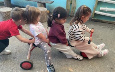 A Wonderful Start to Term 1 in Acorns
